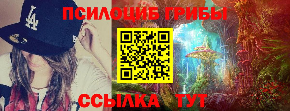 Псилоцибиновые грибы MAGIC MUSHROOMS  Вход с VPN  Орёл 